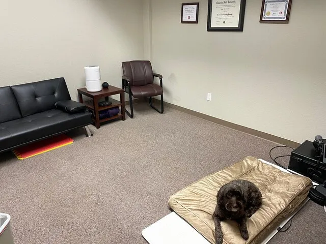 Acupuncture & Laser Therapy Room